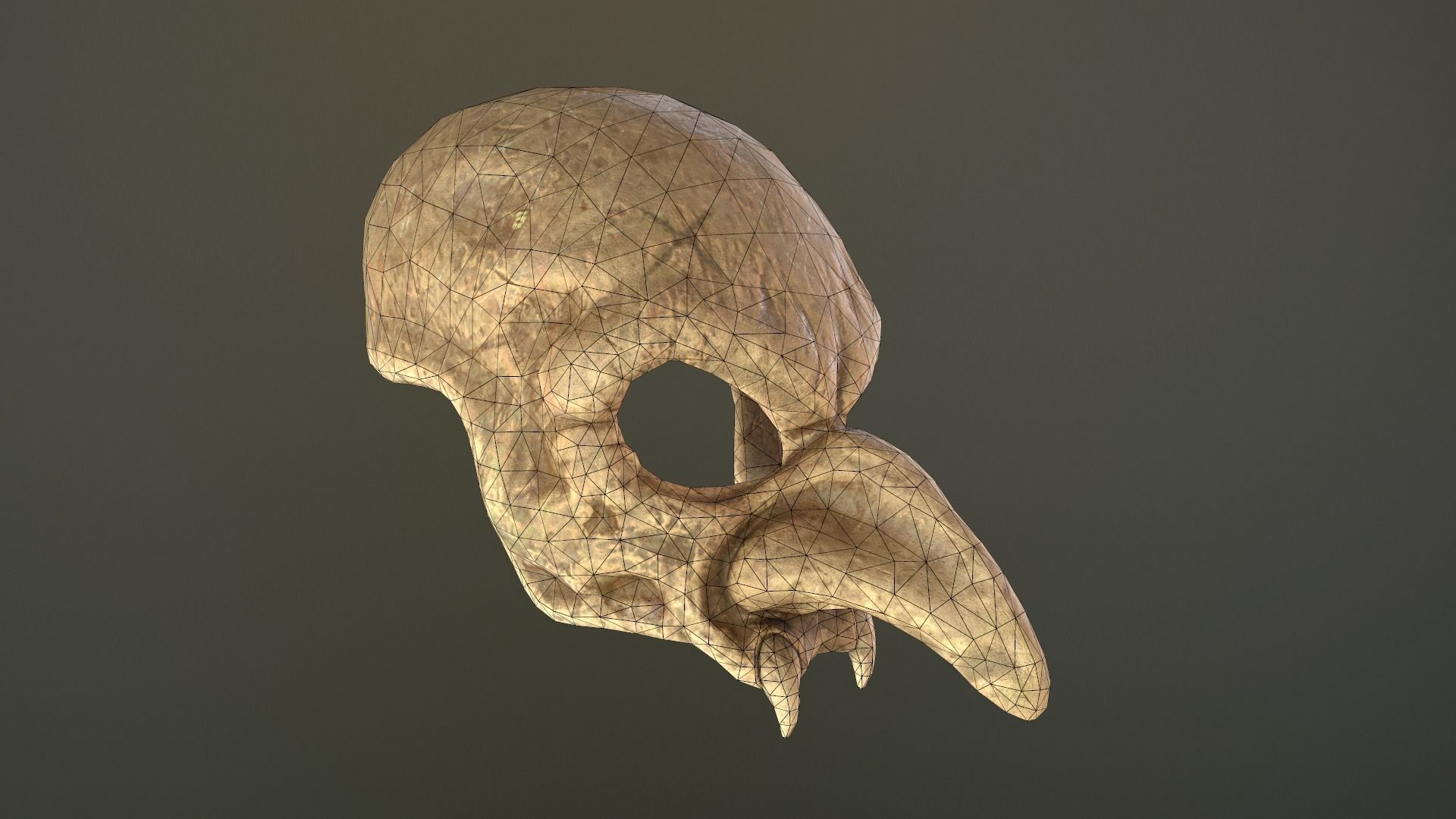 Skull mask Low-poly 3D model_20