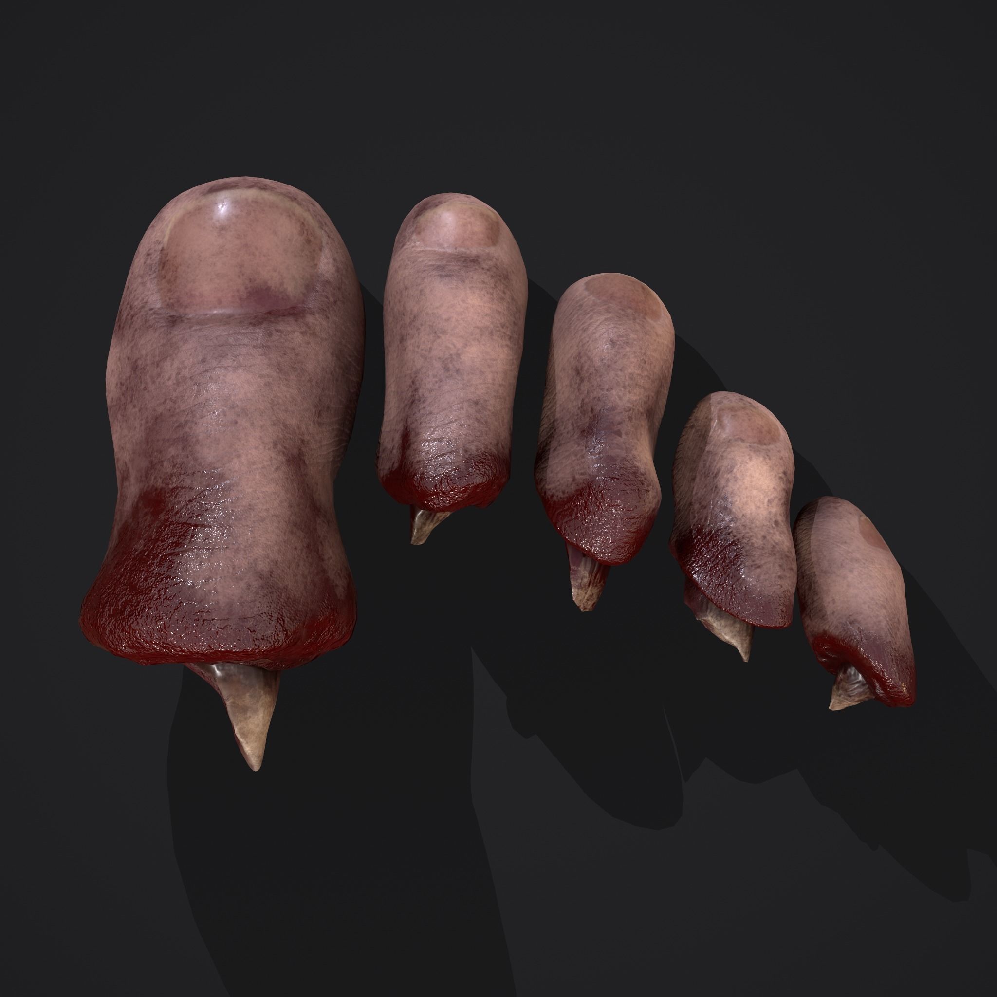 Severed Toes Horror Prop Low-poly 3D model_12