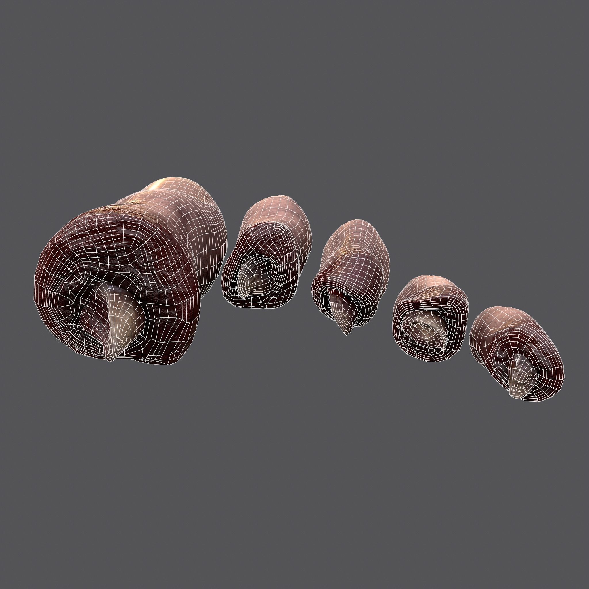 Severed Toes Horror Prop Low-poly 3D model_49