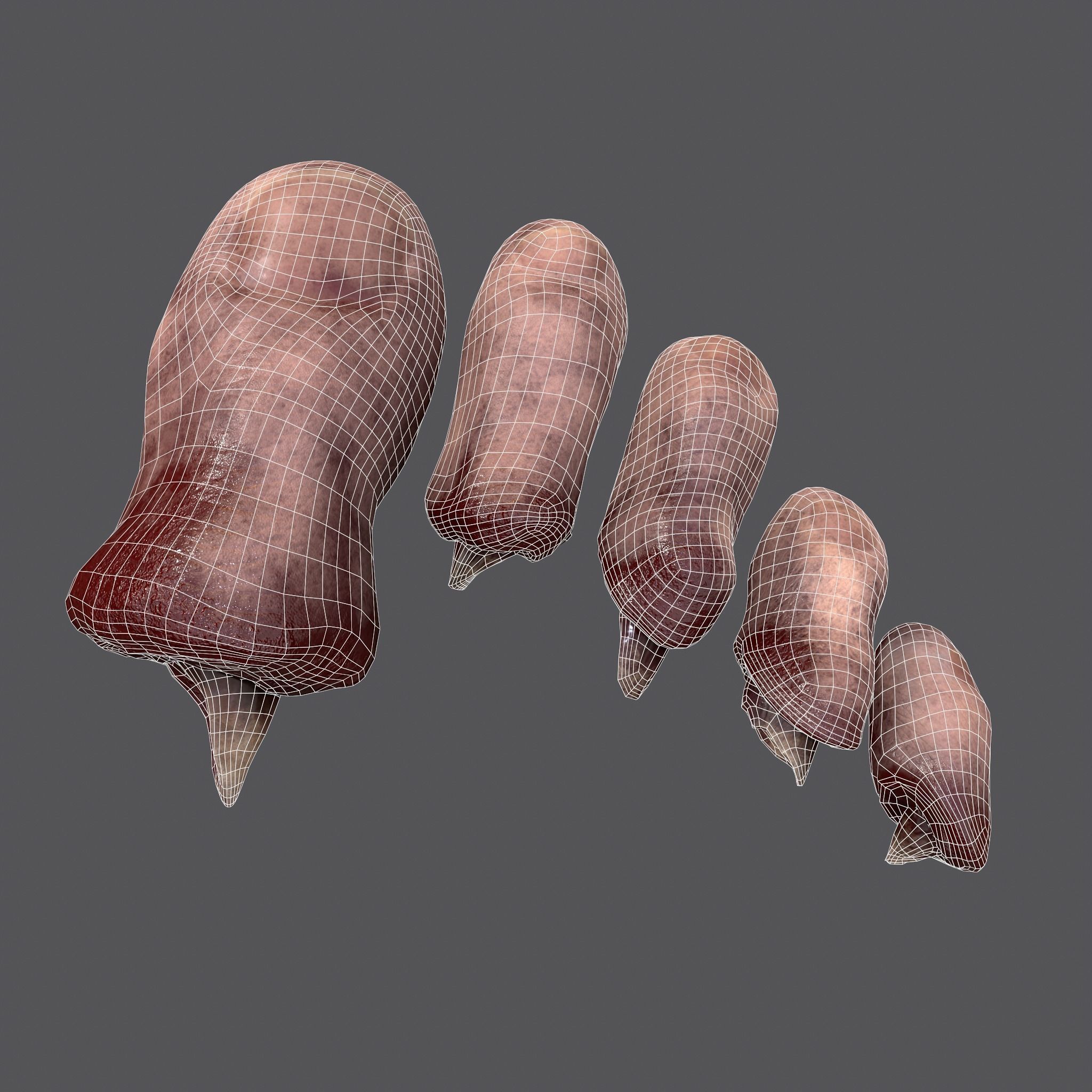 Severed Toes Horror Prop Low-poly 3D model_51