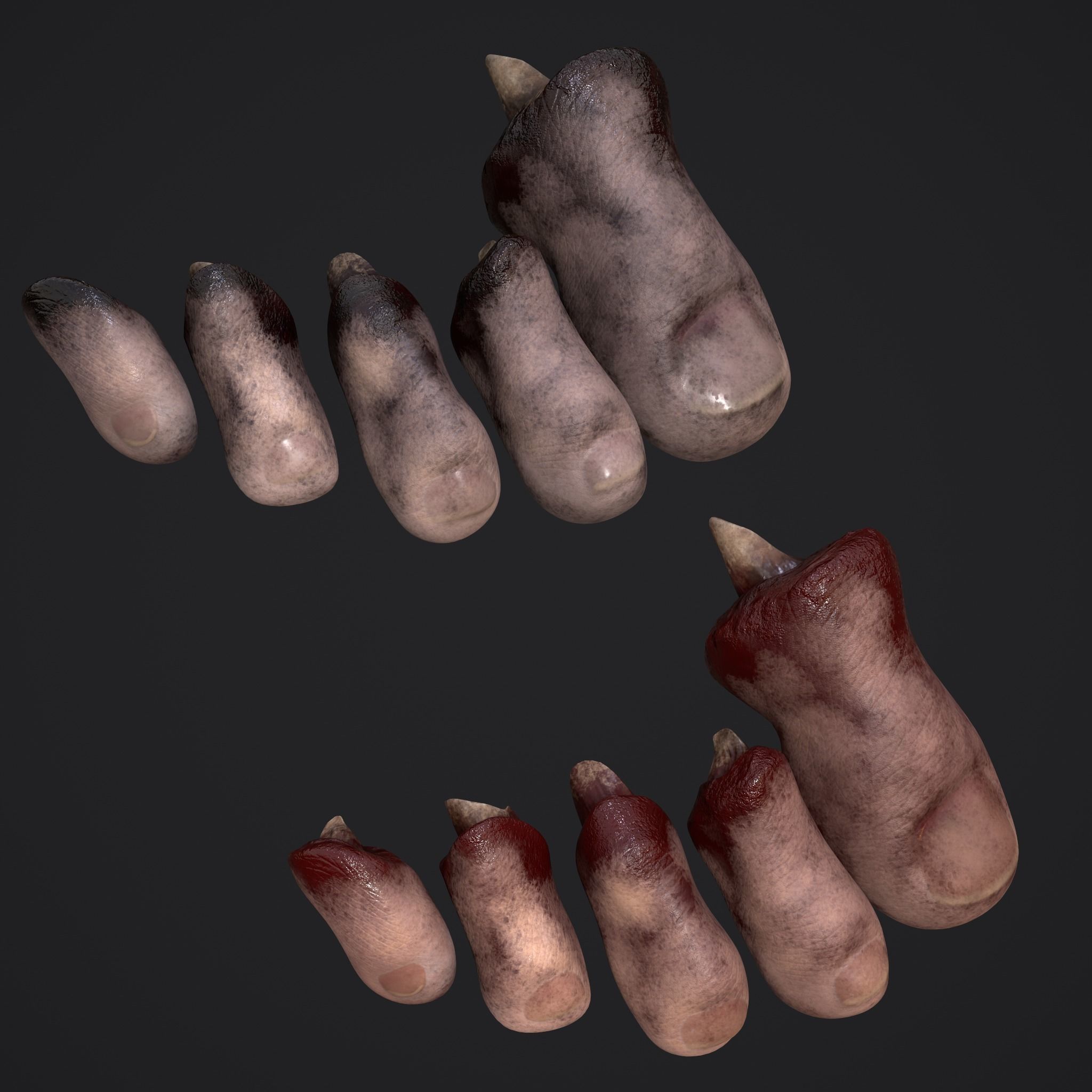 Severed Toes Horror Prop Low-poly 3D model_2