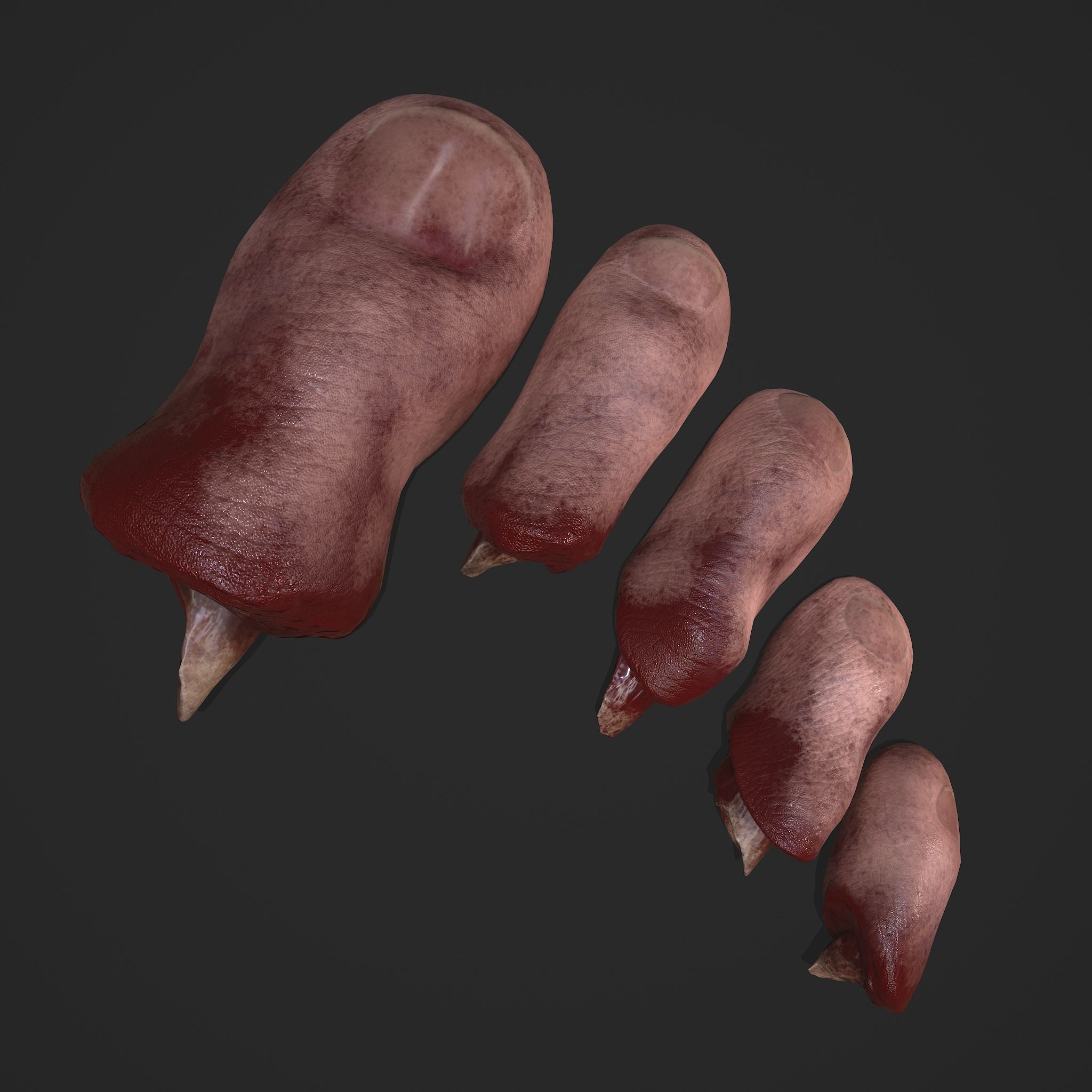 Severed Toes Horror Prop Low-poly 3D model_20