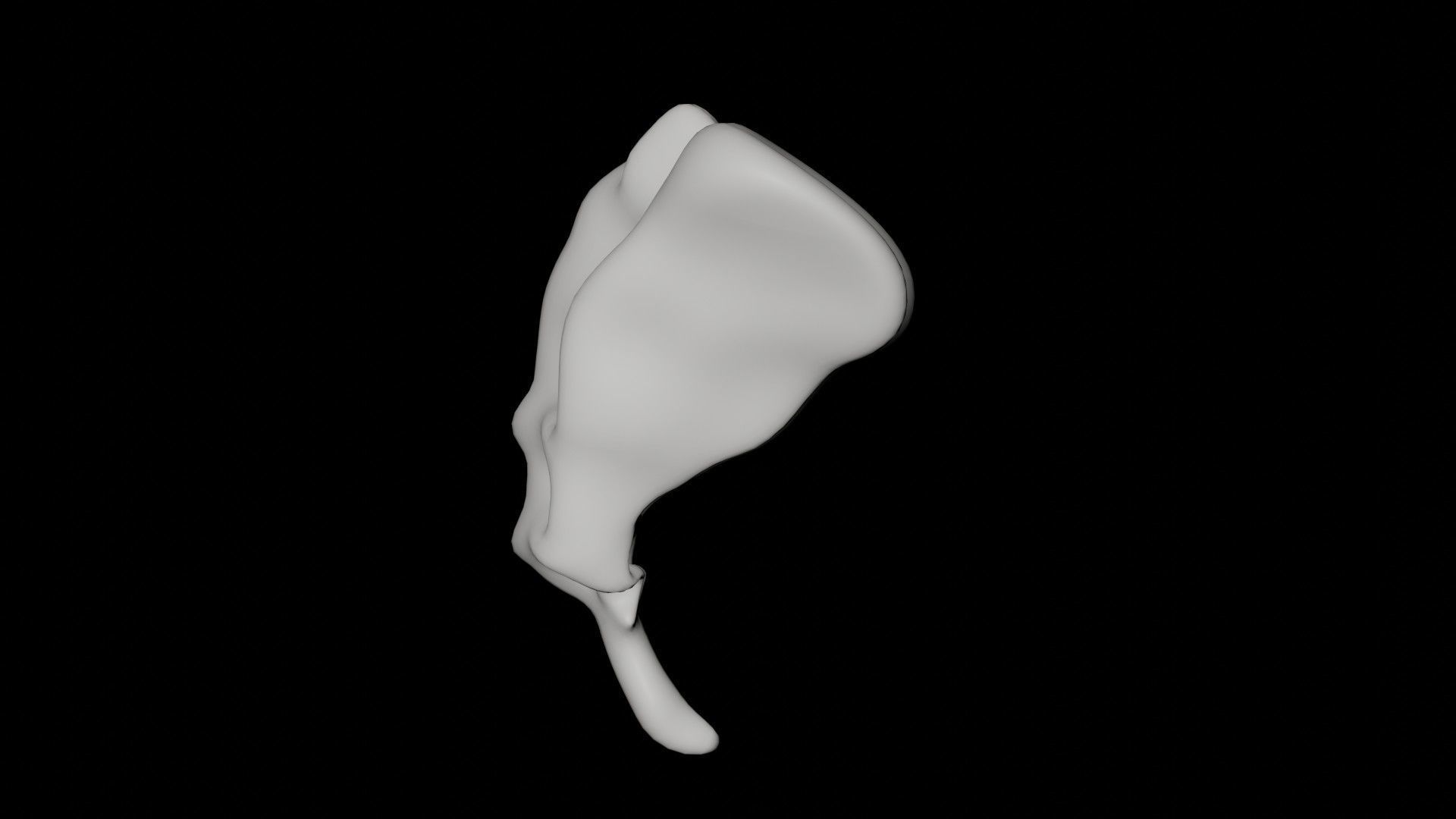 Tailbone tail bone Low-poly 3D model_5