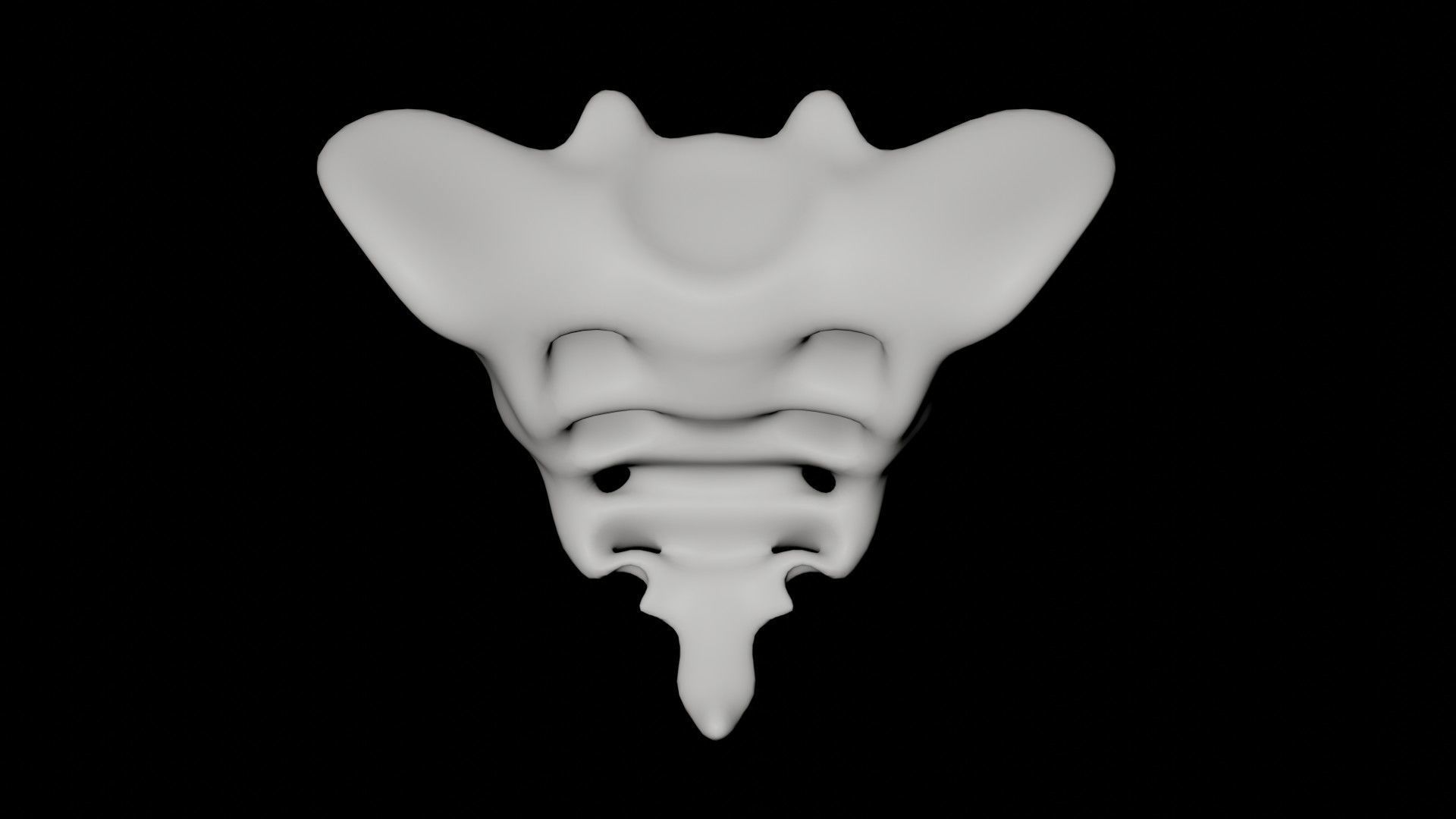 Tailbone tail bone Low-poly 3D model_1