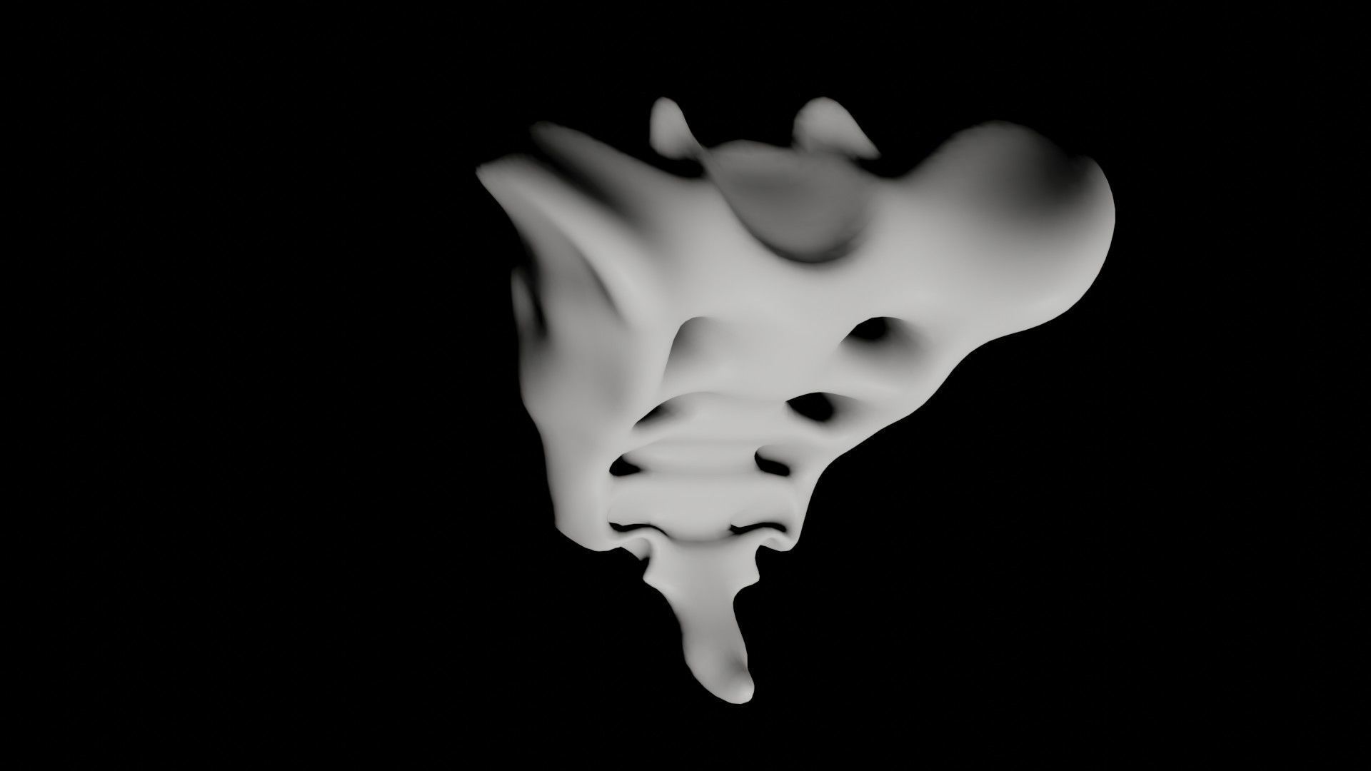 Tailbone tail bone Low-poly 3D model_3