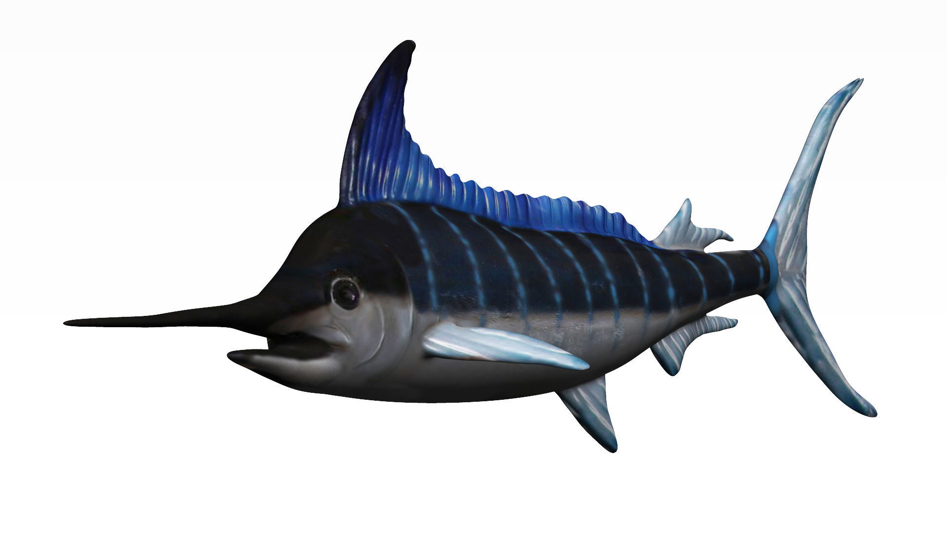 Merlin swordfish Low-poly 3D model_3