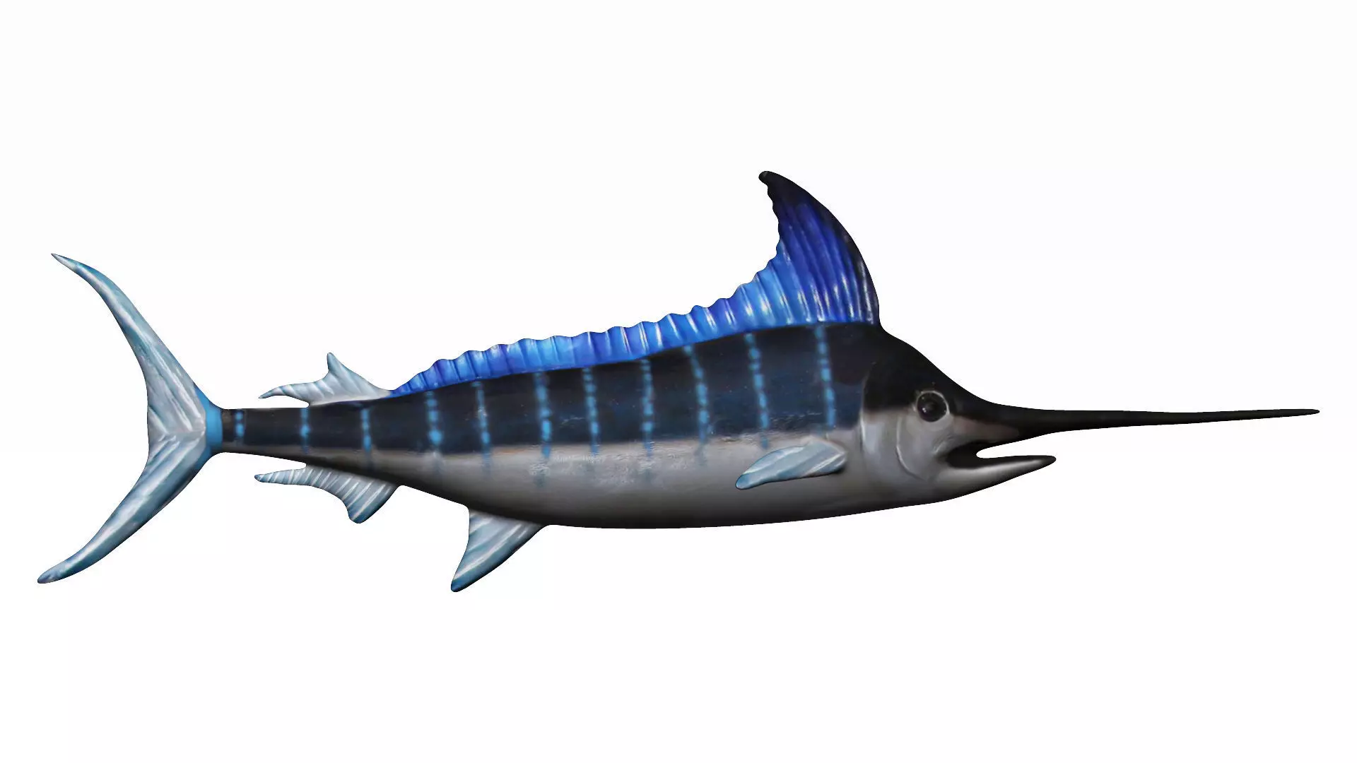 Merlin swordfish Low-poly 3D model_0