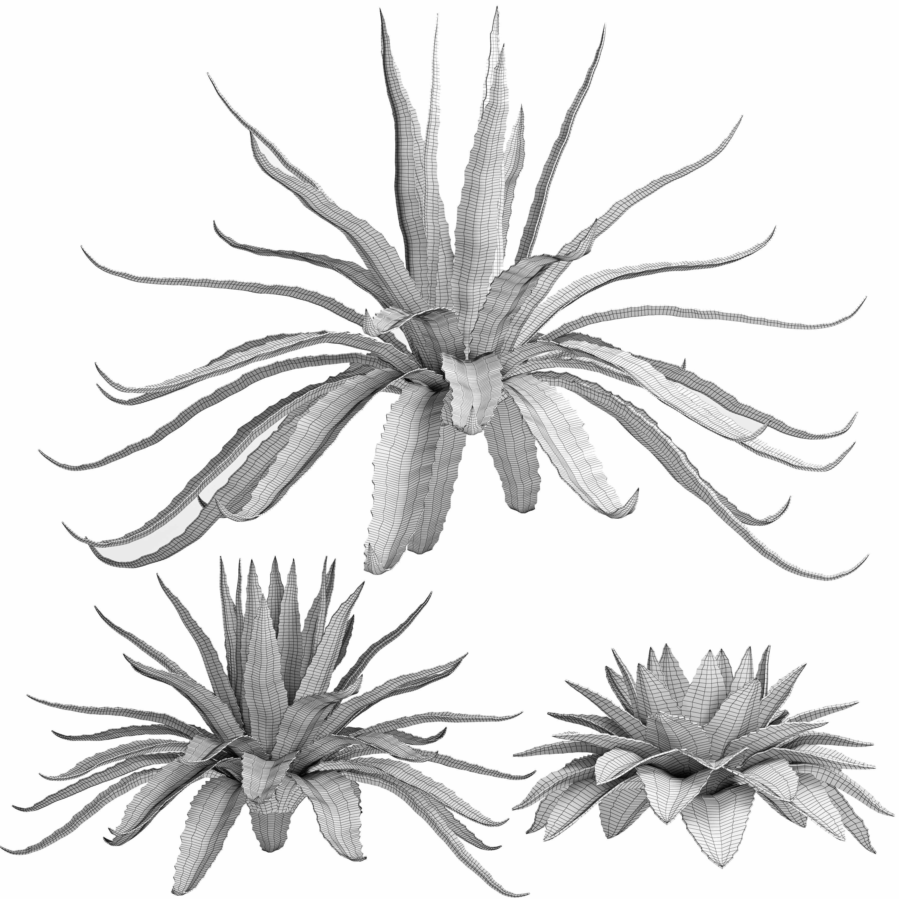 Agave Sansevieira Outdoor Plant Set 216 3D model_5