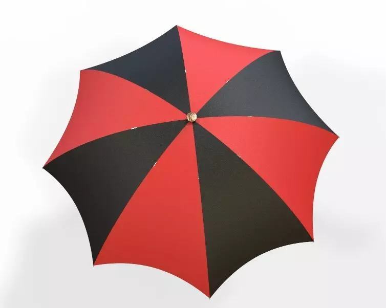 Umbrella 3D print model_0