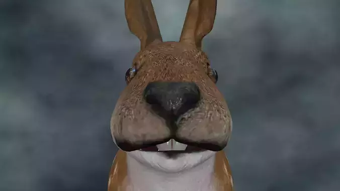 RABT-002 Rigged Rabbit