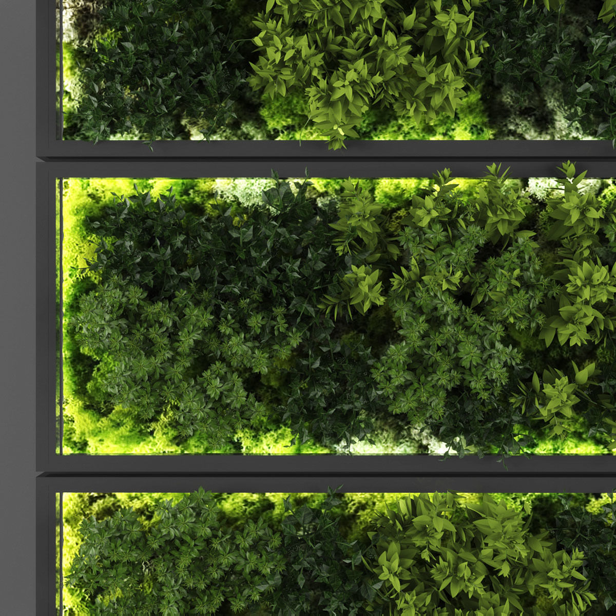Vertical garden 141 Low-poly 3D model_1