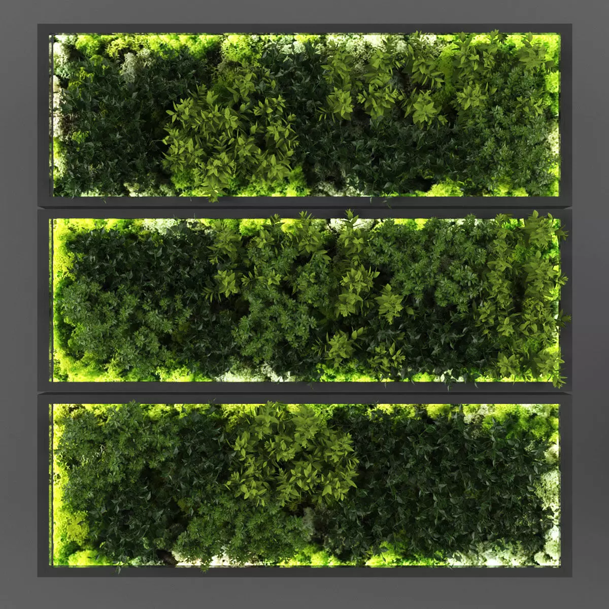 Vertical garden 141 Low-poly 3D model_0