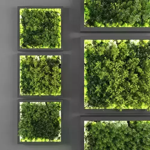 Vertical garden 142 3D model