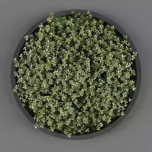 Vertical garden 143 Low-poly 3D model