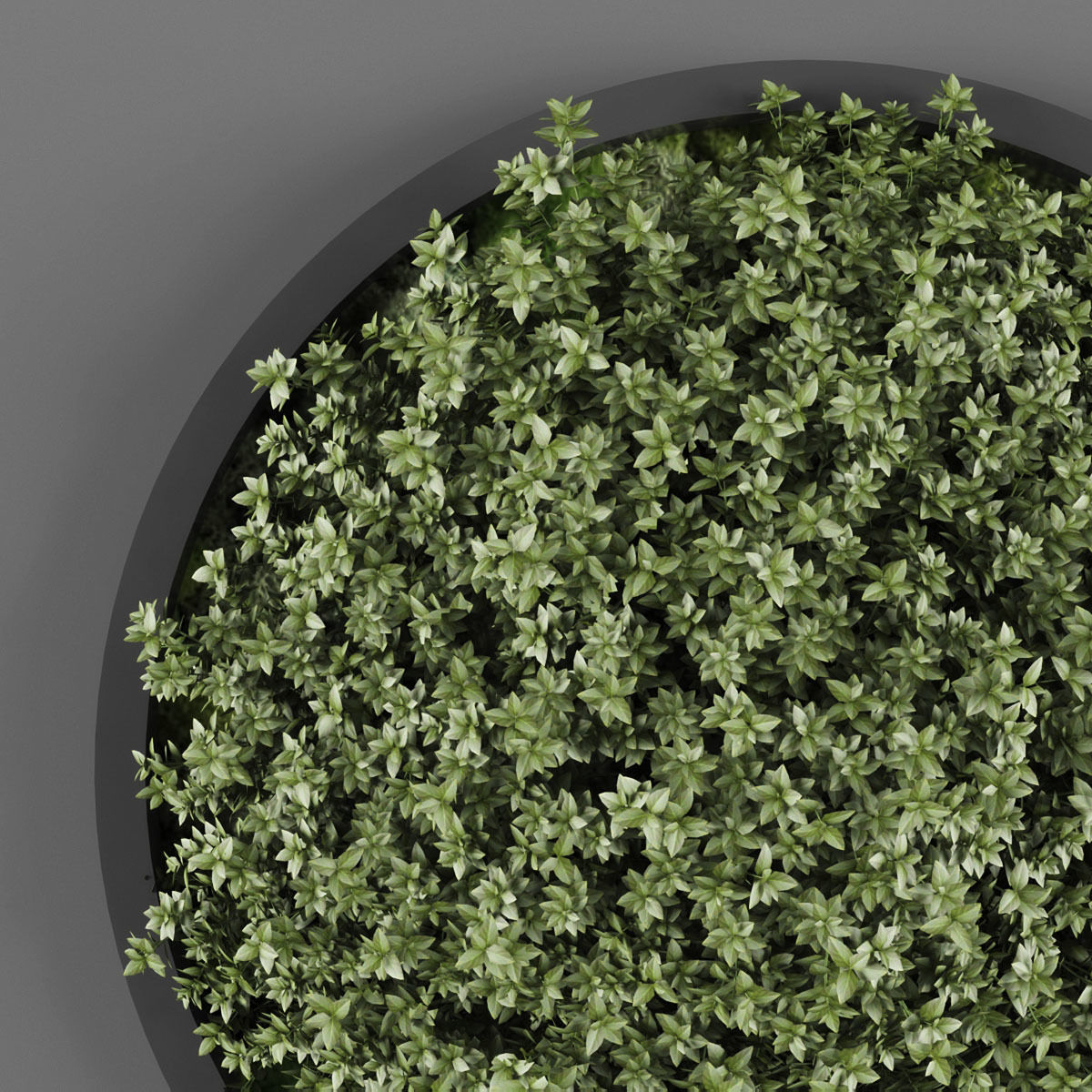 Vertical garden 143 Low-poly 3D model_1