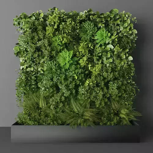 Vertical garden 144