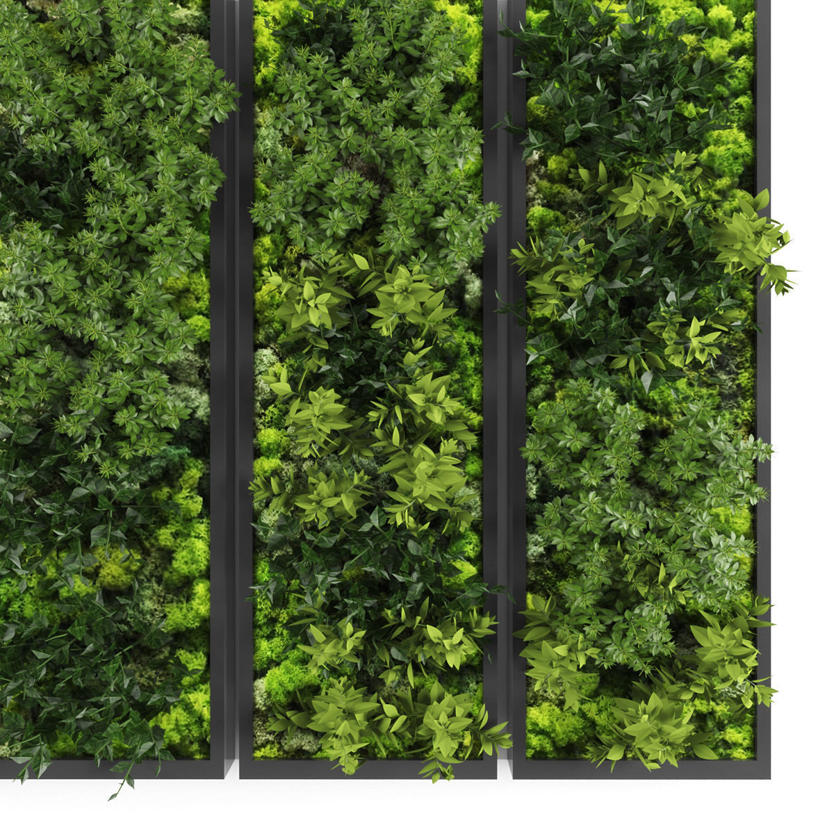 Vertical garden 148 Low-poly 3D model_1