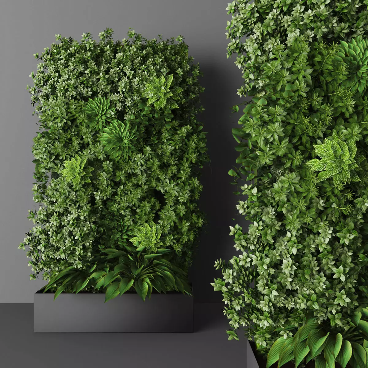 Vertical garden 149 Low-poly 3D model_0