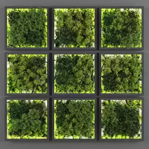 Vertical garden 150