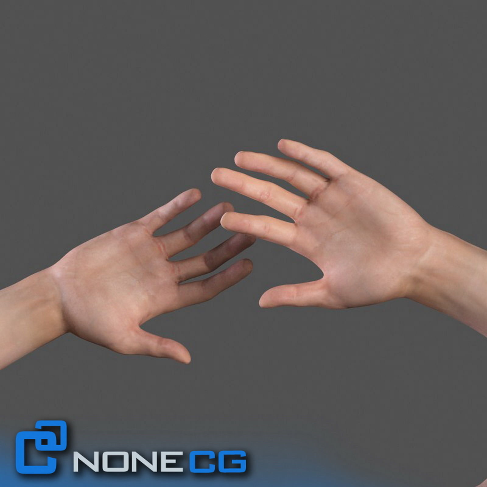 Adult Male Arms and Hands Rigged 3D model_4
