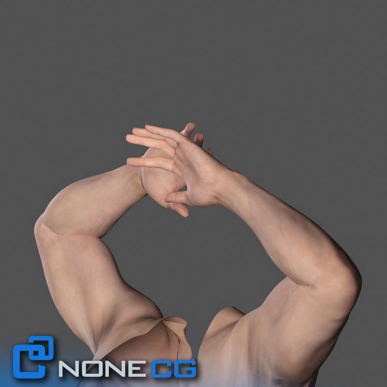 Adult Male Arms and Hands Rigged 3D model_2