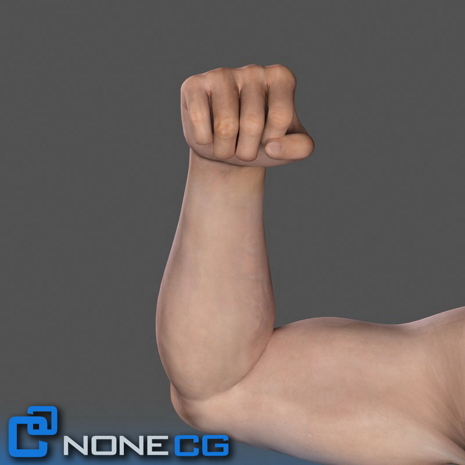 Adult Male Arms and Hands Rigged 3D model_6