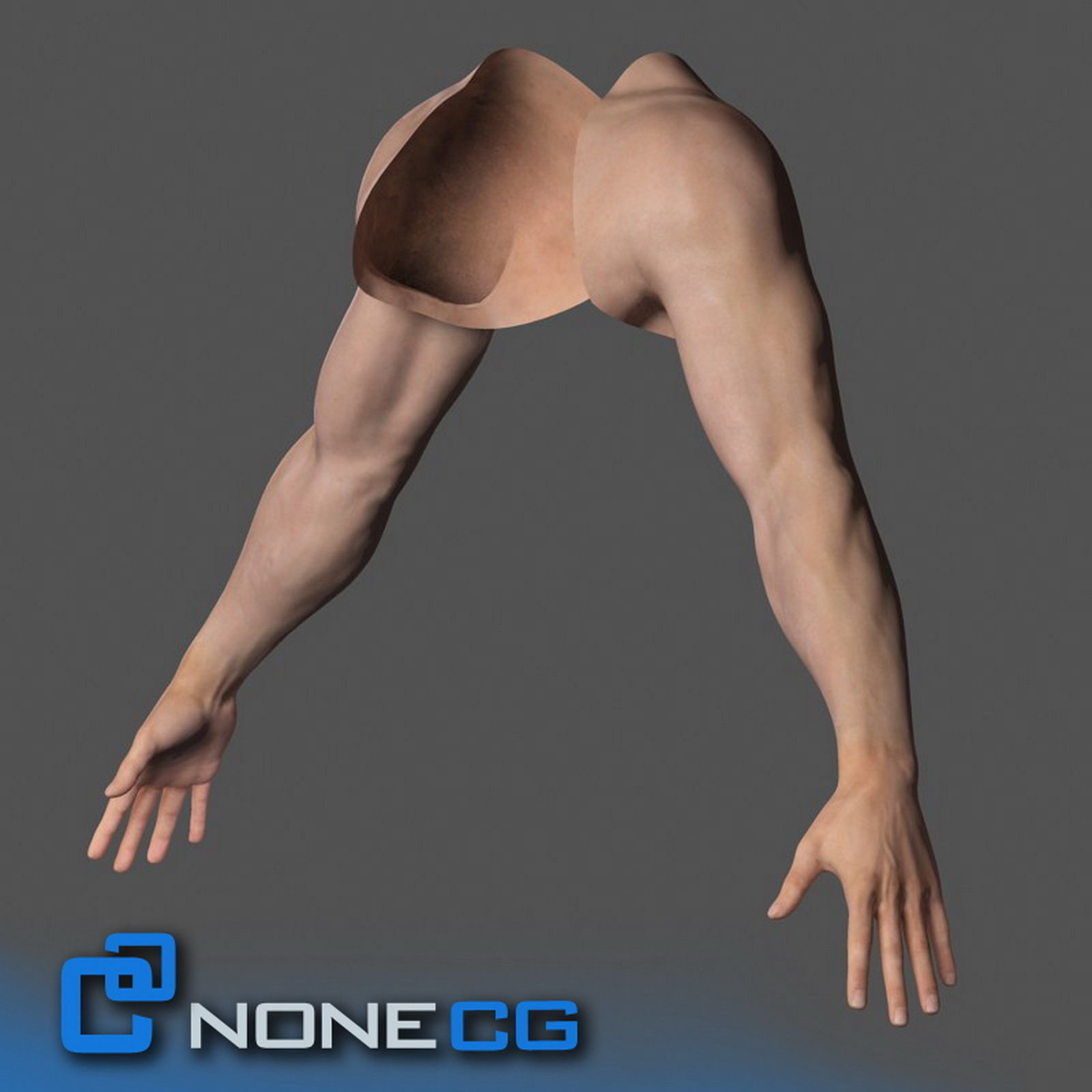 Adult Male Arms and Hands Rigged 3D model_1