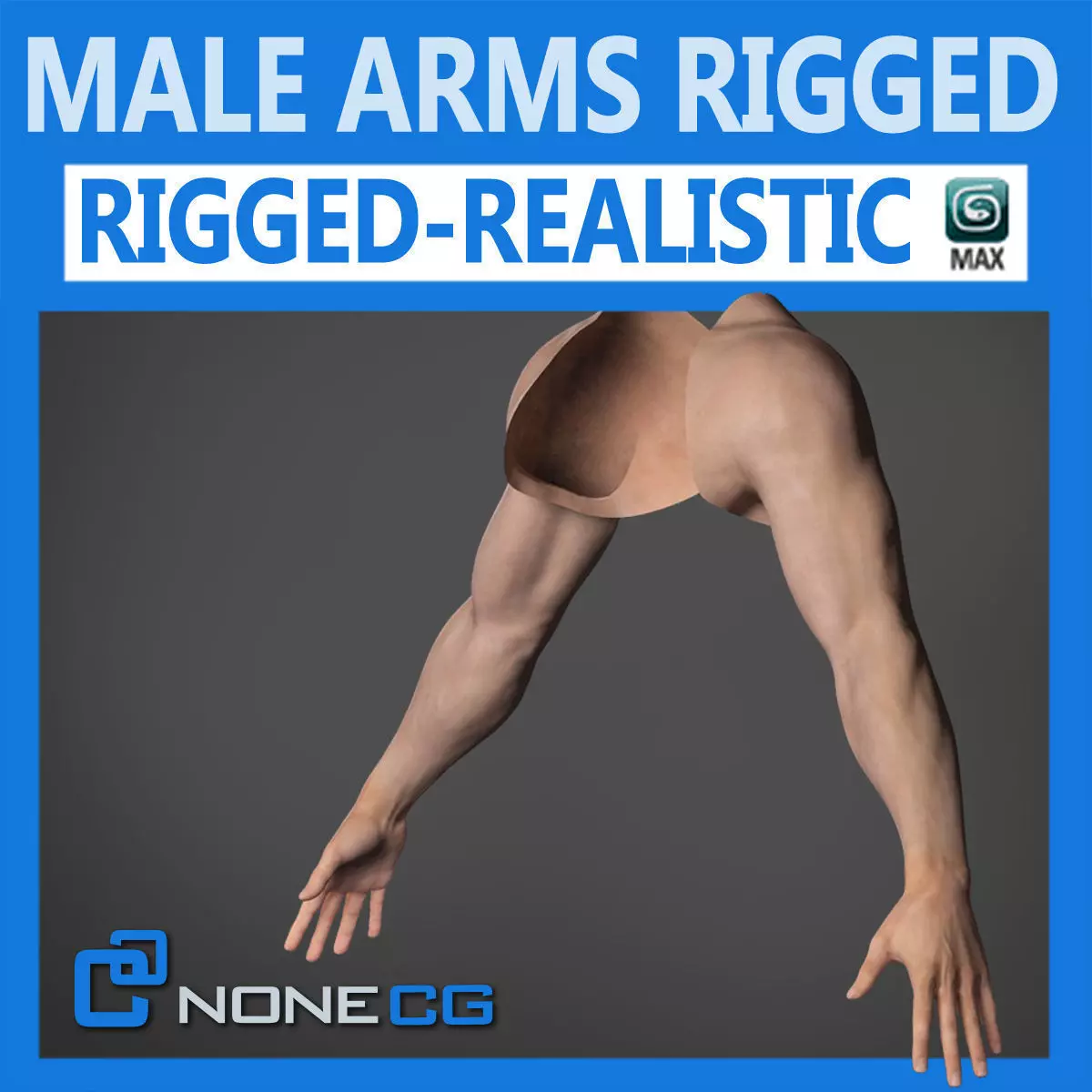 Adult Male Arms and Hands Rigged 3D model_0