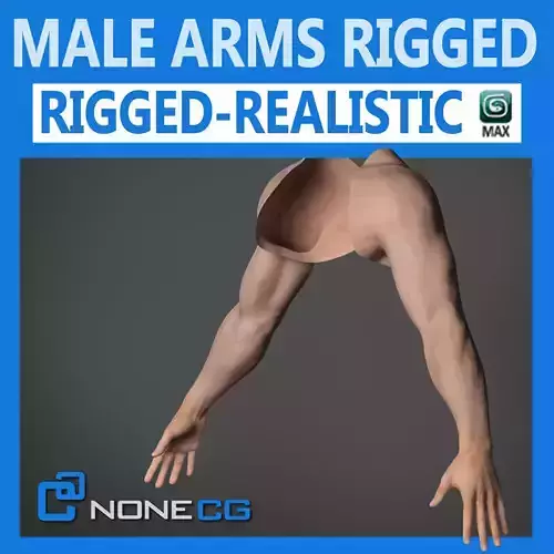 Adult Male Arms and Hands Rigged 3D model