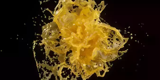 Orange Splash Animated 3D model