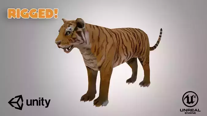 Tiger Low-poly 3D model