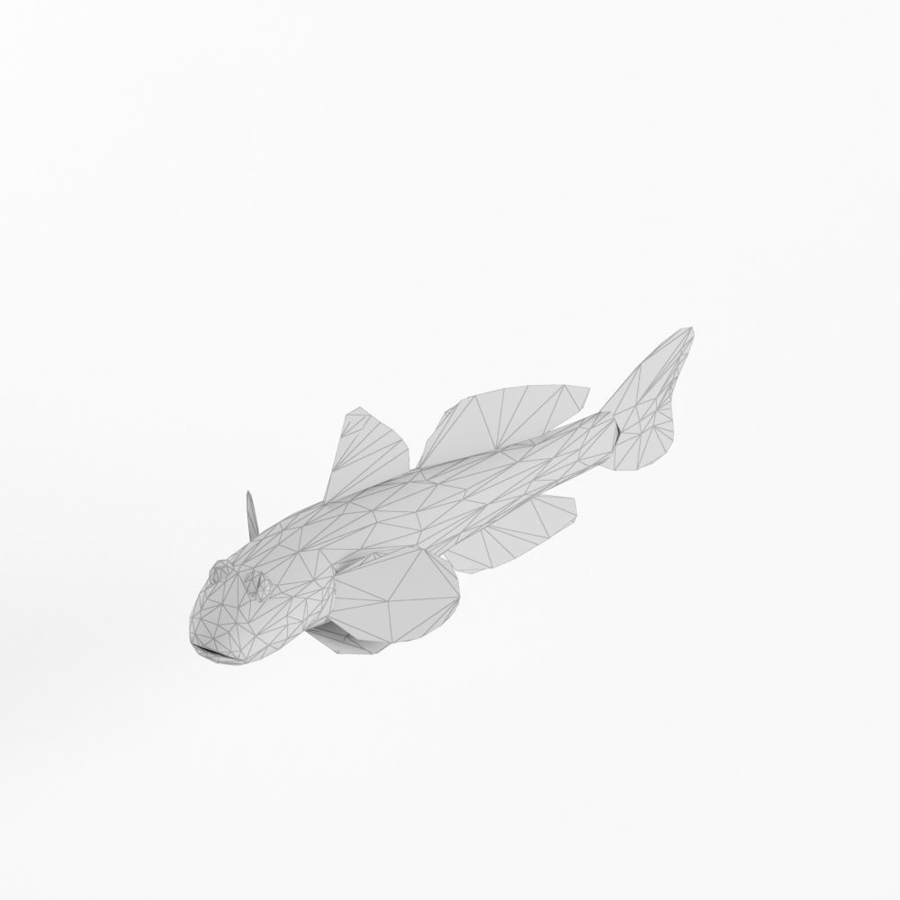 Low Poly Fish and Tuna Set Animal Lowpoly Low-poly 3D model_4