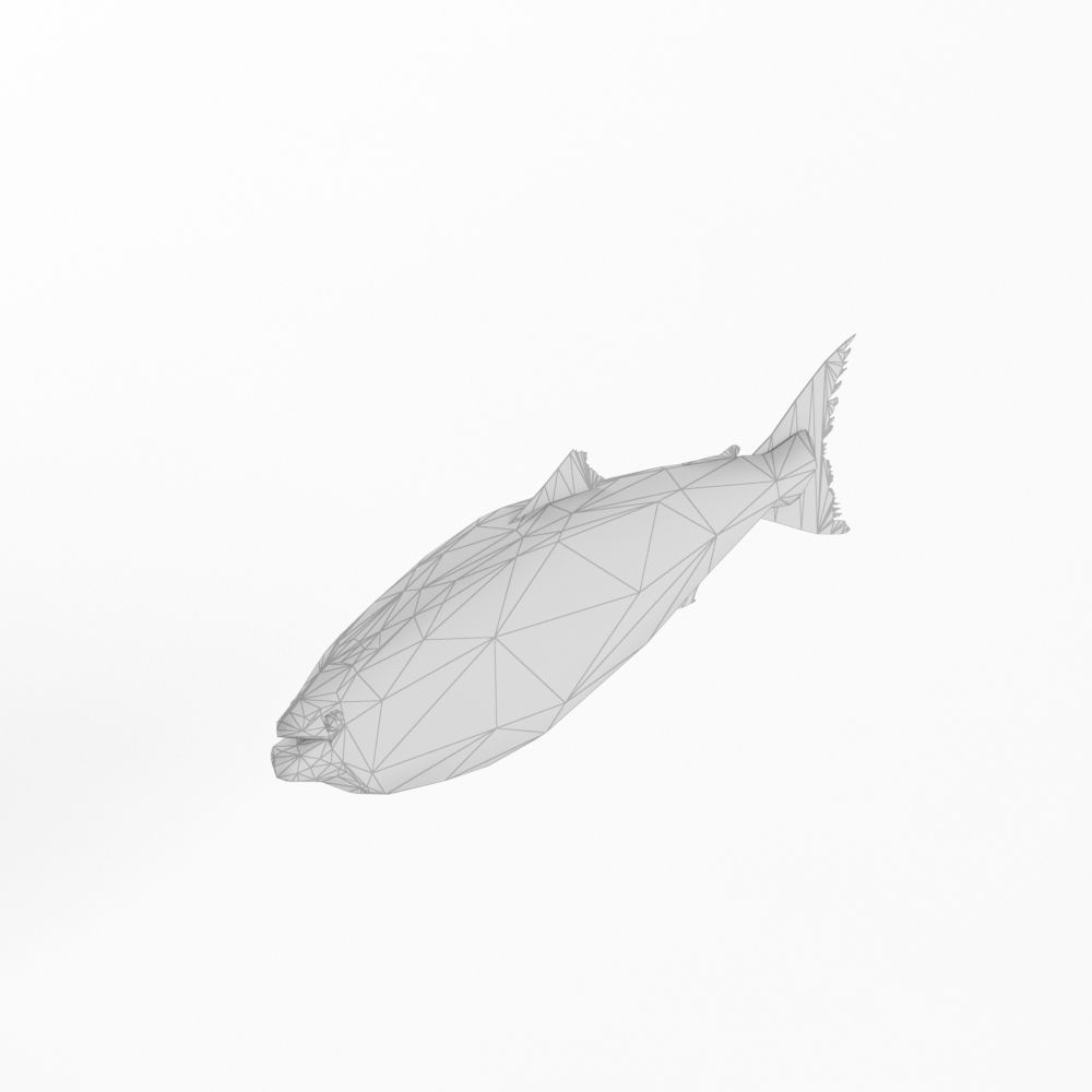 Low Poly Fish and Tuna Set Animal Lowpoly Low-poly 3D model_2