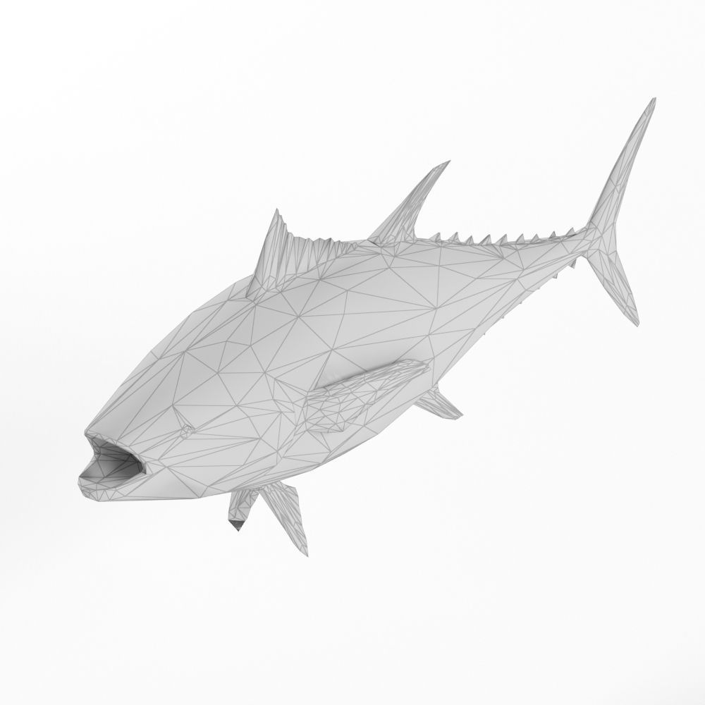 Low Poly Fish and Tuna Set Animal Lowpoly Low-poly 3D model_3