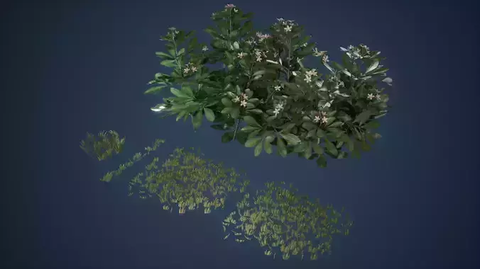Grass Patch and Bush Game Ready Low-poly 3D model