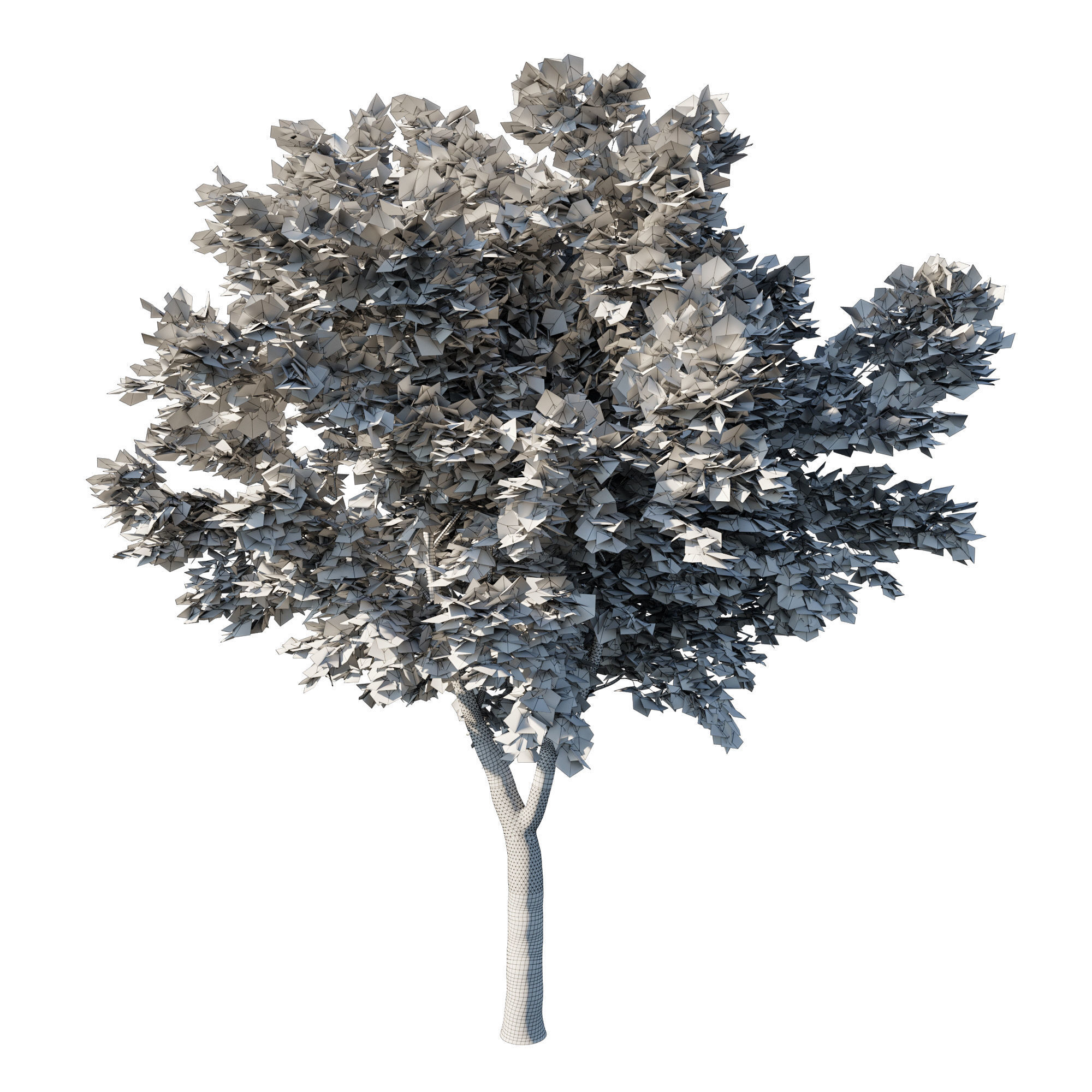 Acer Rubrum Green 3D model_2