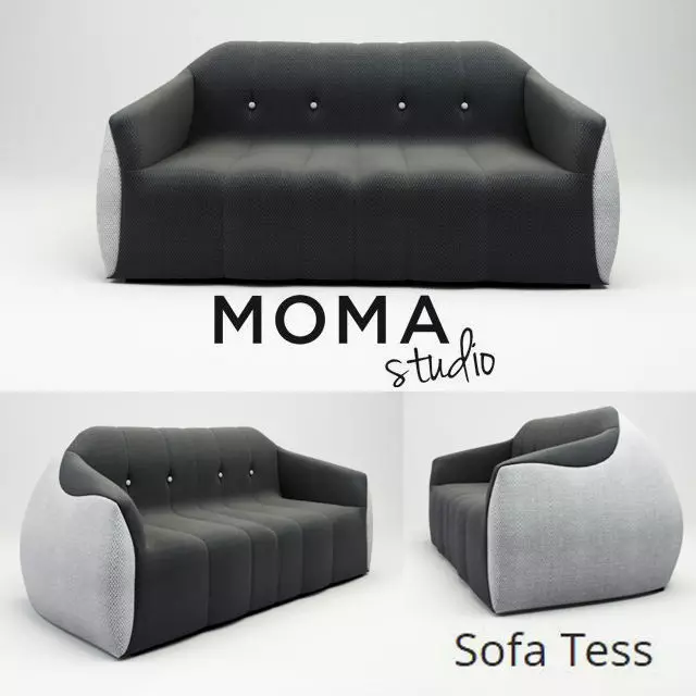 MOMA Studio 3D model