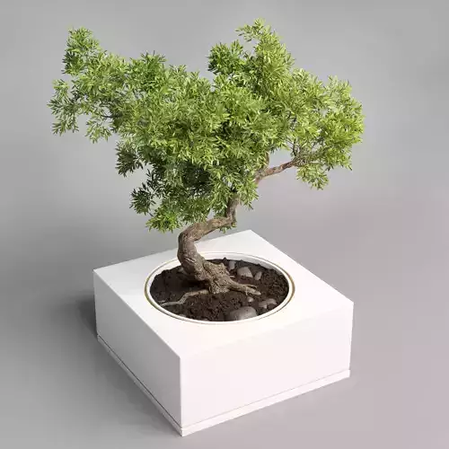 Indoor outdoor plant 74 metal vase pot tree bonsai