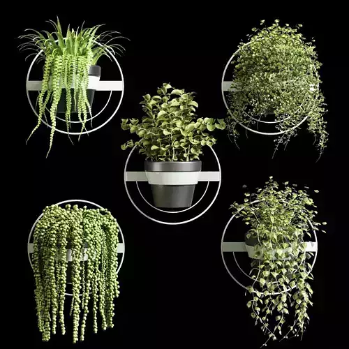 collection indoor plant 76 wall plant metal vase