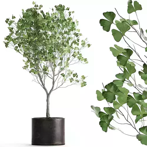 Decorative tree in a flowerpot for the interior 1012