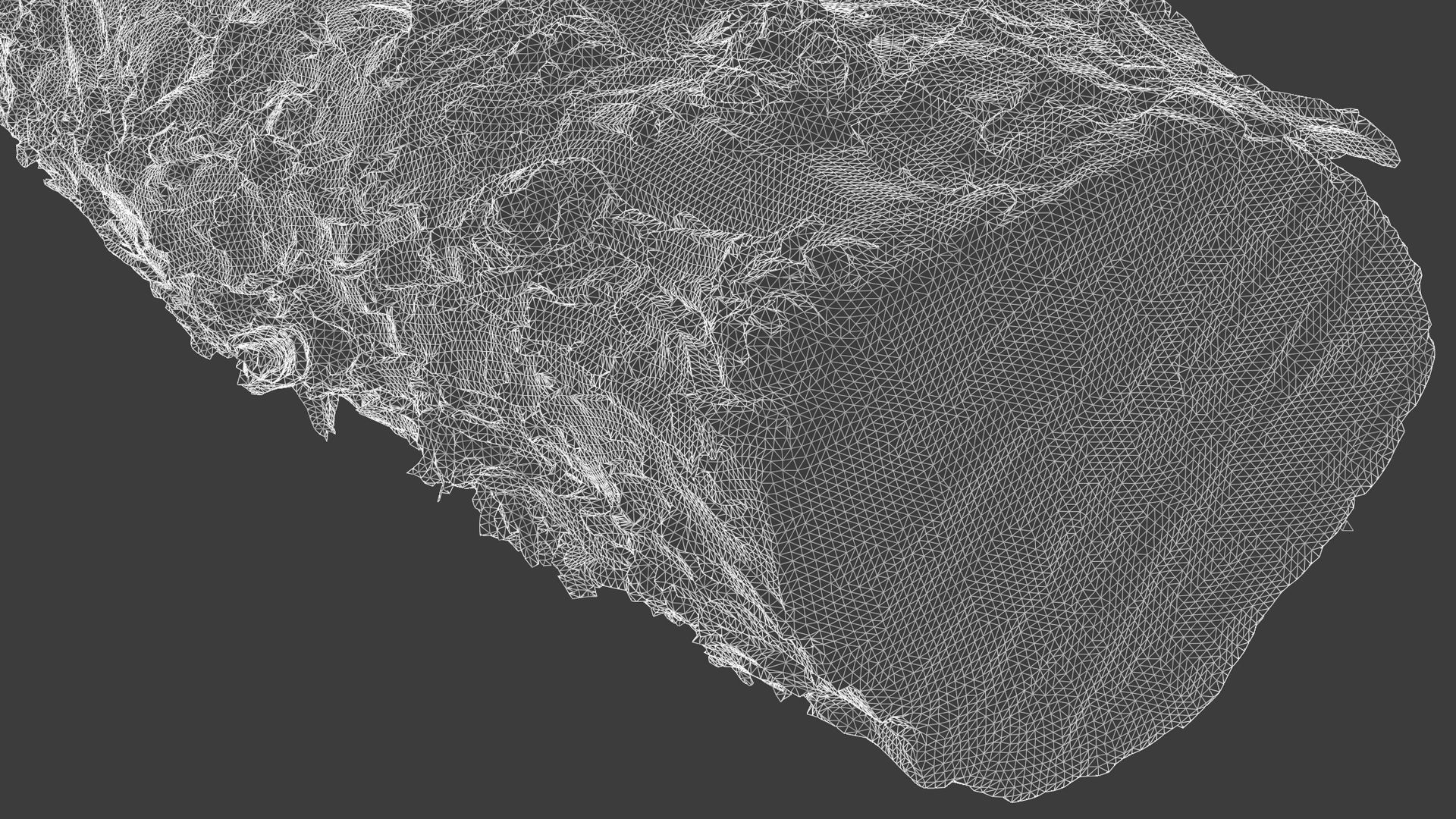 A Big Old Log 3D model_6