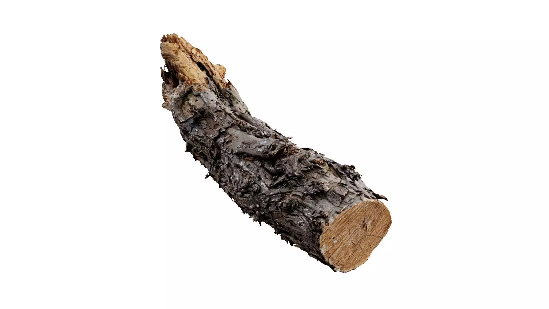 A Big Old Log 3D model_0