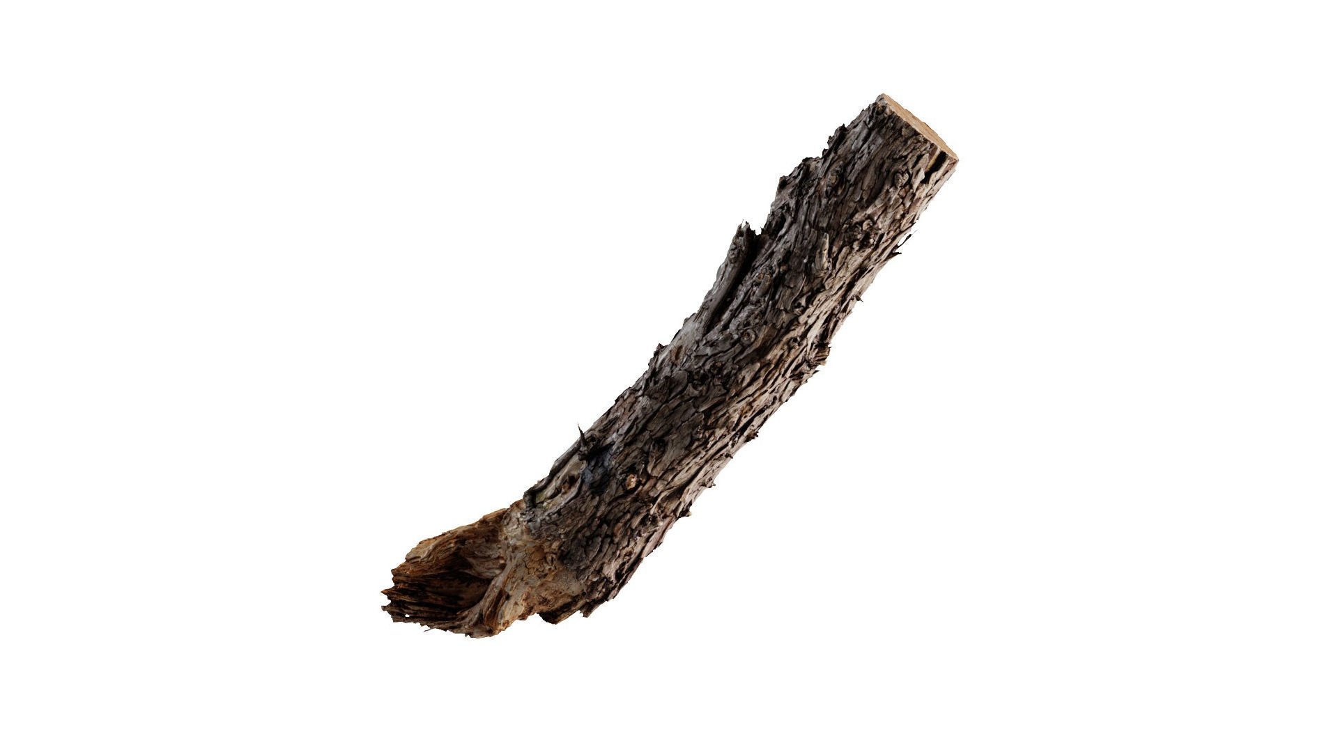 A Big Old Log 3D model_3