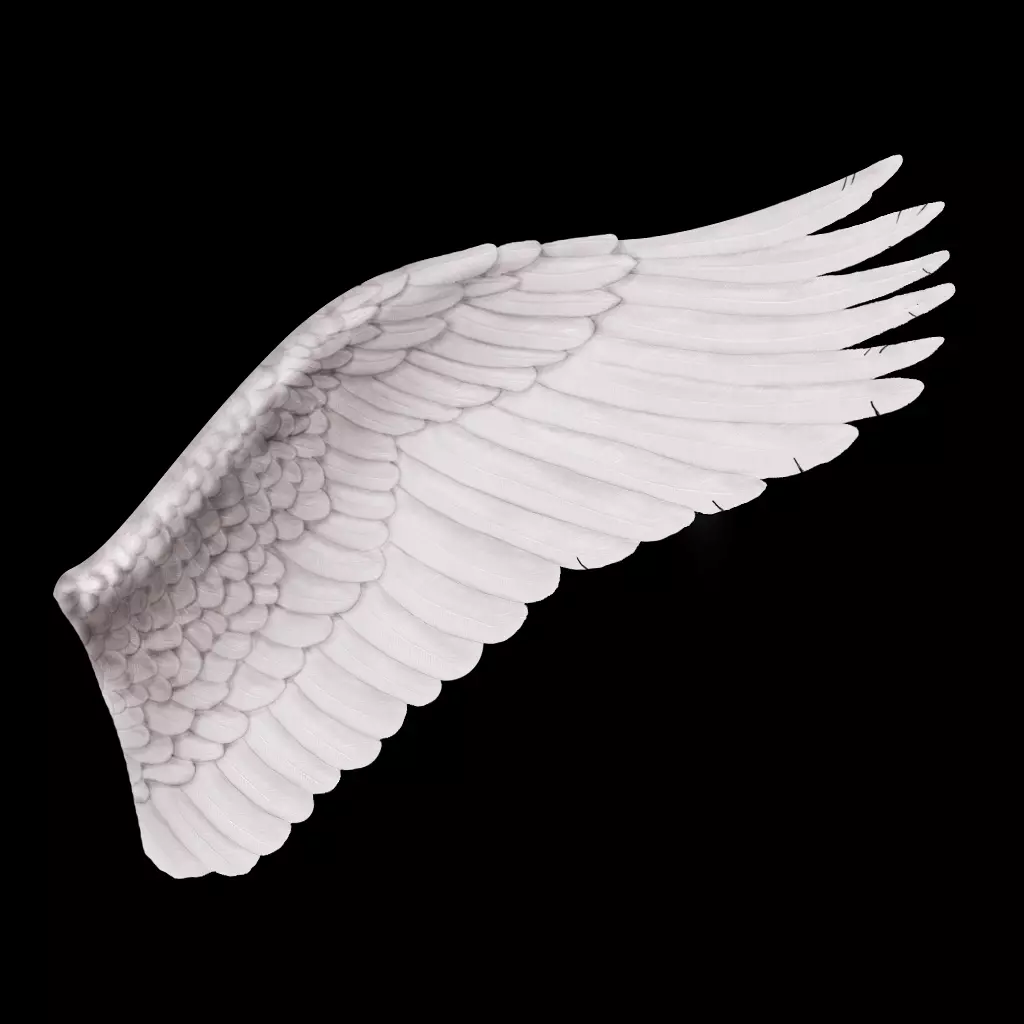 Angel Wings Free 3D model_0