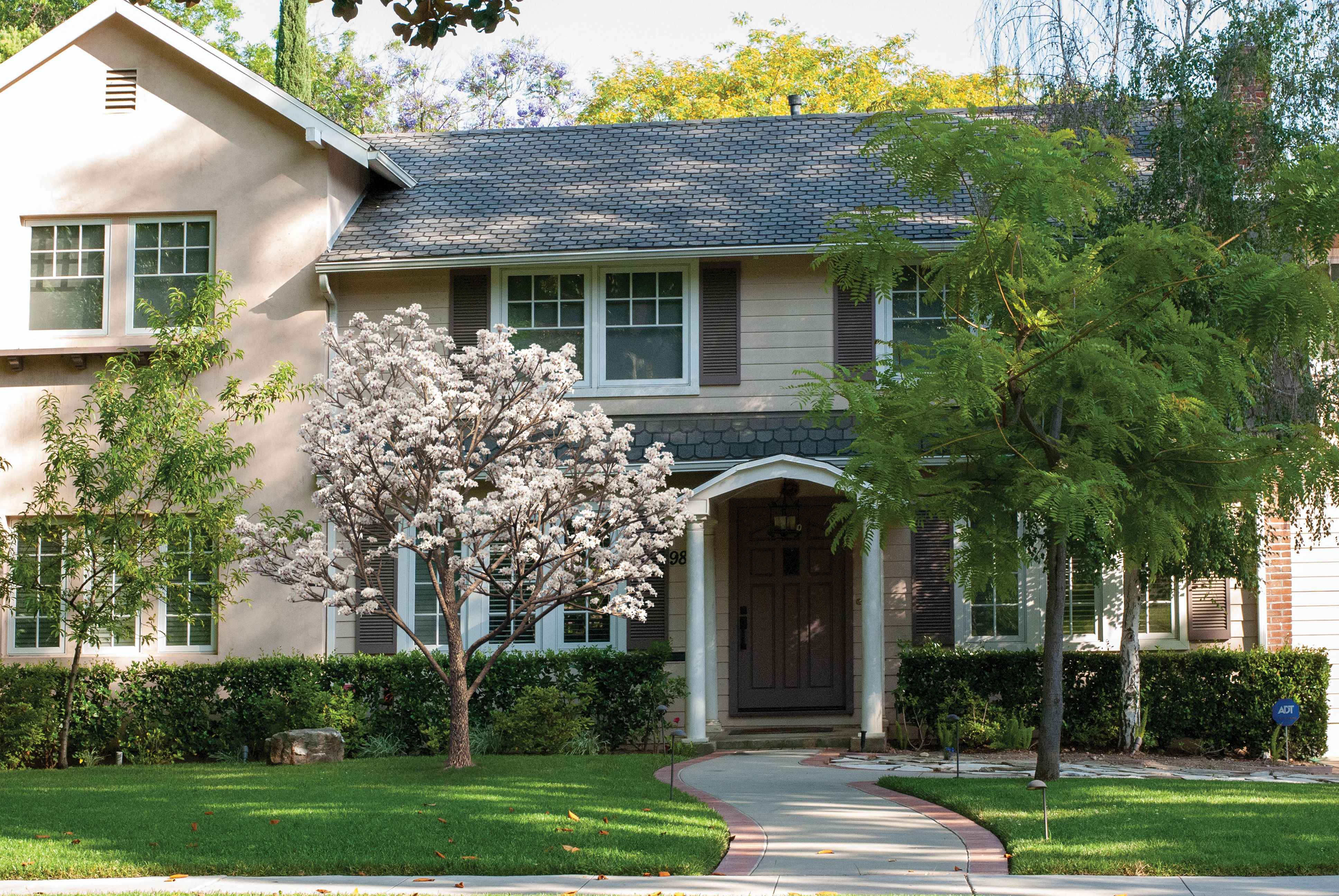 2021 PBR Almond Tree Collection - Prunus Dulcis  3D model_2