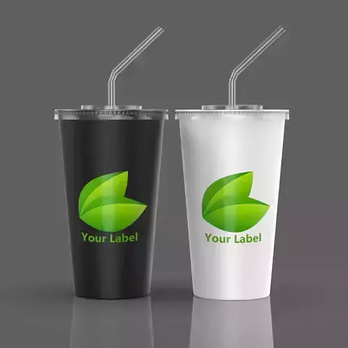Cup with Plastic Lid and Straw 3D model