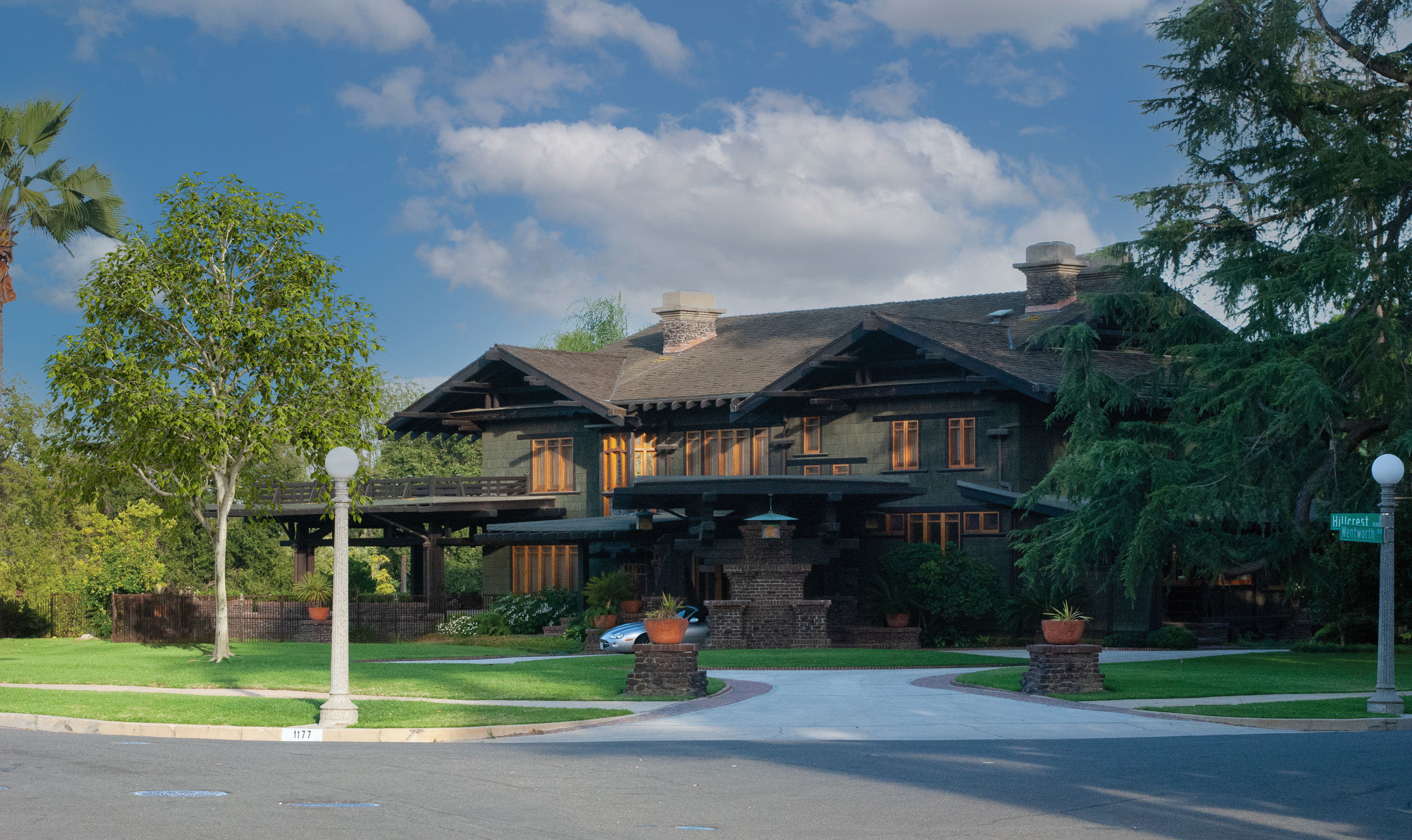 2021 PBR American Beech Collection - Fagus Grandifolia 3D model_2