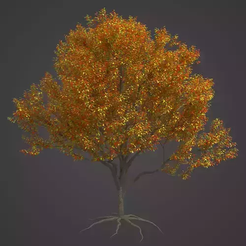 2021 PBR Blackthorn Collection - Prunus Spinosa 3D model