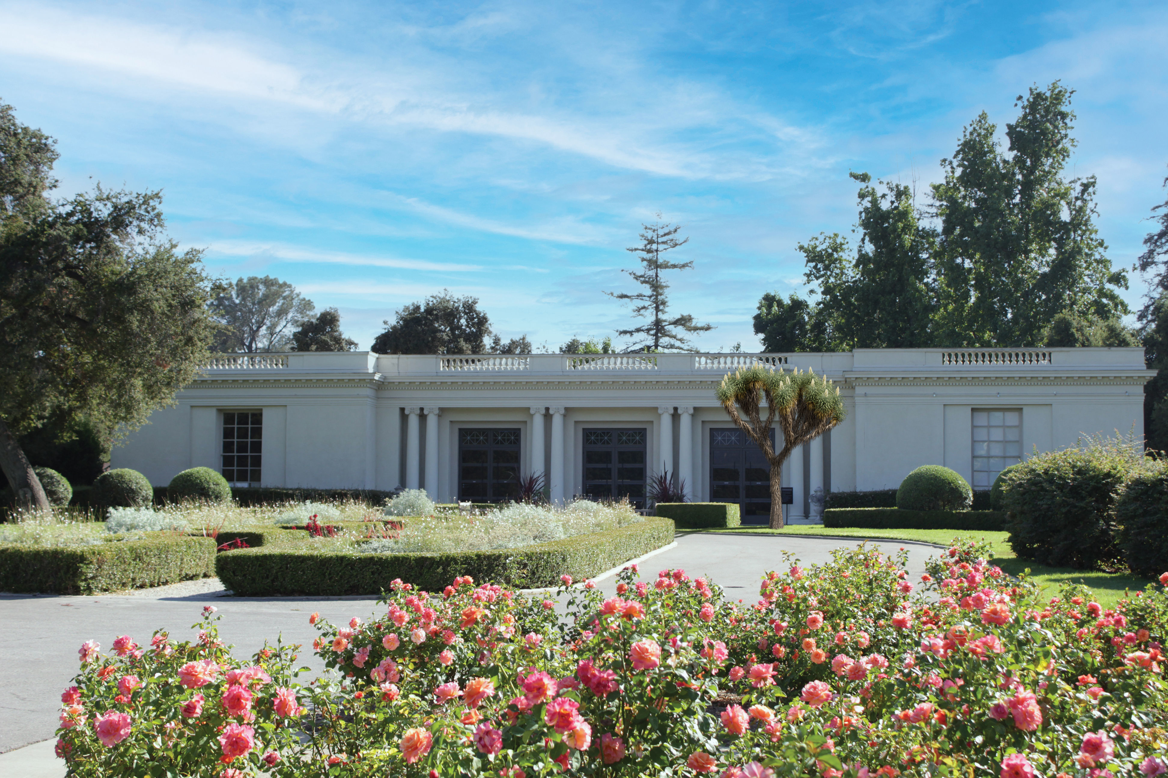 2021 PBR Joshua Tree Collection - Yucca Brevifolia 3D model_2