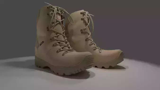 Militar Boots